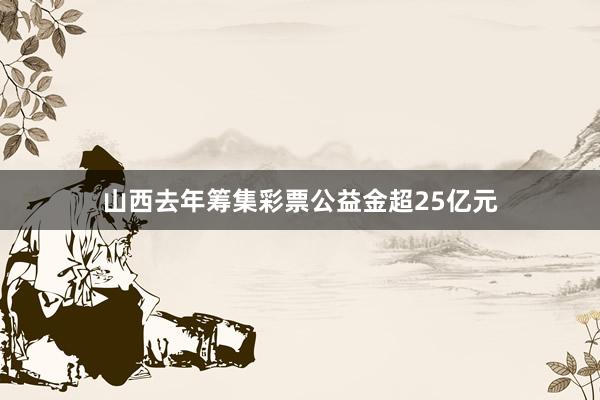 山西去年筹集彩票公益金超25亿元