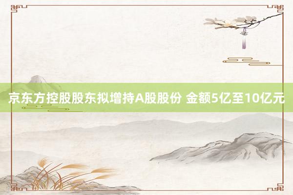 京东方控股股东拟增持A股股份 金额5亿至10亿元