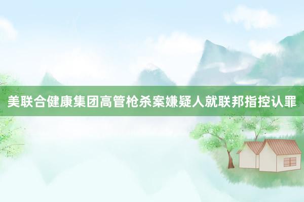 美联合健康集团高管枪杀案嫌疑人就联邦指控认罪