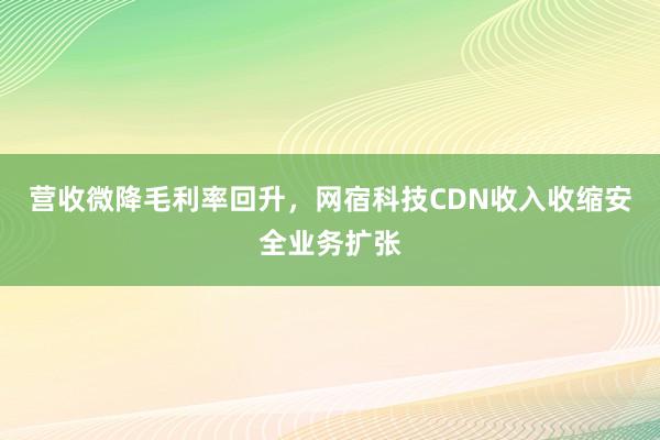 营收微降毛利率回升，网宿科技CDN收入收缩安全业务扩张