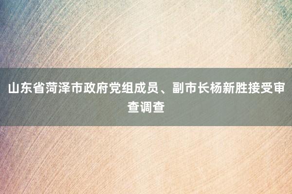 山东省菏泽市政府党组成员、副市长杨新胜接受审查调查