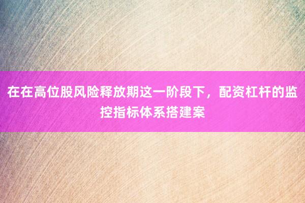 在在高位股风险释放期这一阶段下，配资杠杆的监控指标体系搭建案