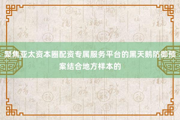 聚焦亚太资本圈配资专属服务平台的黑天鹅防御预案结合地方样本的