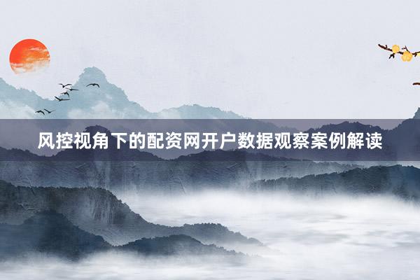风控视角下的配资网开户数据观察案例解读