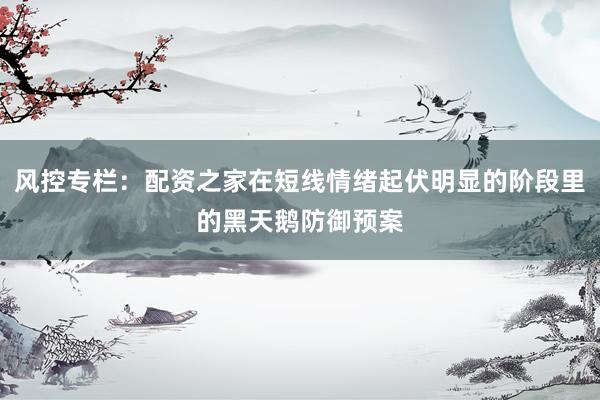 风控专栏：配资之家在短线情绪起伏明显的阶段里的黑天鹅防御预案
