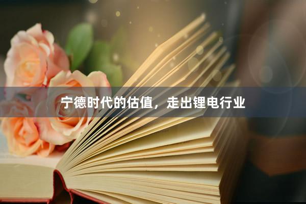 宁德时代的估值，走出锂电行业