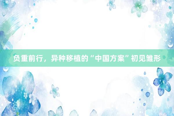 负重前行,异种移植的“中国方案”初见雏形