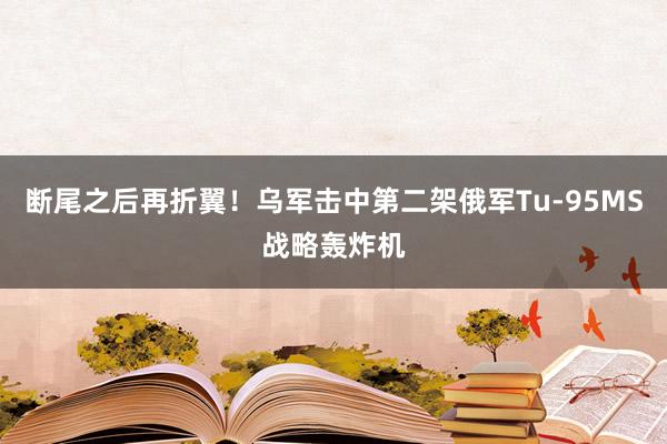 断尾之后再折翼！乌军击中第二架俄军Tu-95MS战略轰炸机