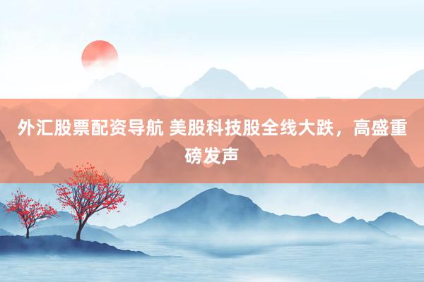 外汇股票配资导航 美股科技股全线大跌，高盛重磅发声