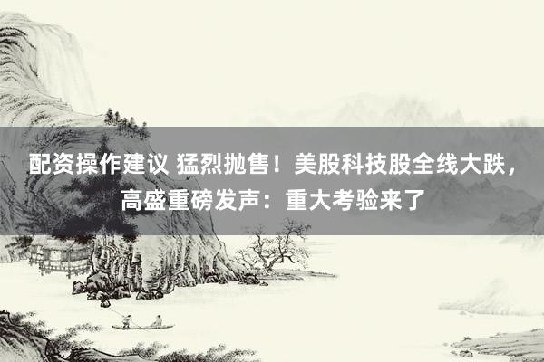 配资操作建议 猛烈抛售！美股科技股全线大跌，高盛重磅发声：重大考验来了
