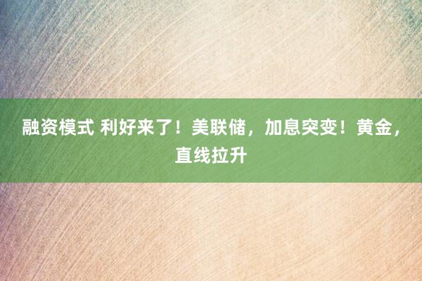 融资模式 利好来了！美联储，加息突变！黄金，直线拉升