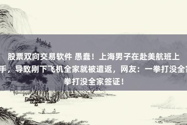 股票双向交易软件 愚蠢！上海男子在赴美航班上挥拳动手，导致刚下飞机全家就被遣返，网友：一拳打没全家签证！