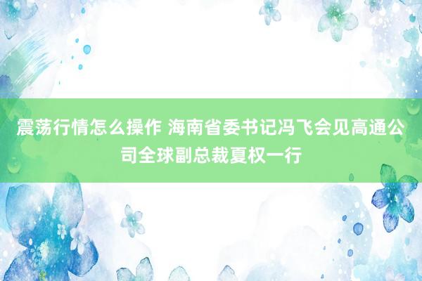震荡行情怎么操作 海南省委书记冯飞会见高通公司全球副总裁夏权一行