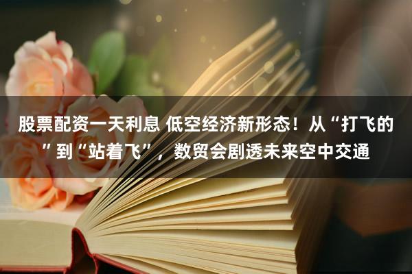 股票配资一天利息 低空经济新形态！从“打飞的”到“站着飞”，数贸会剧透未来空中交通