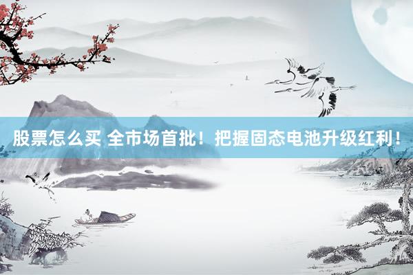 股票怎么买 全市场首批！把握固态电池升级红利！